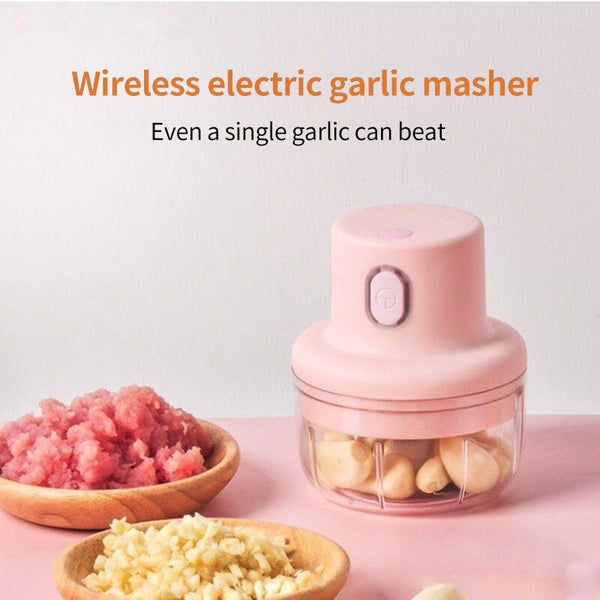 Mini Electric Food Grinder