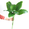 Artificial Banana Tree Large Green Simulation Plants